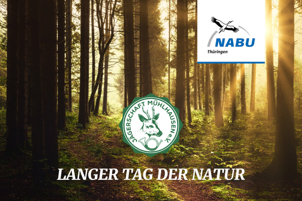 Mit Jagdhornbläsern, Wildführerschein, Jagdhunden, Greifvögeln und wilden Gaumenfreuden.